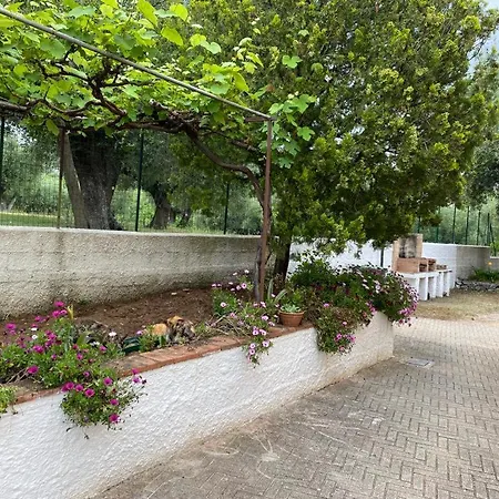 Apartment Le Rose *