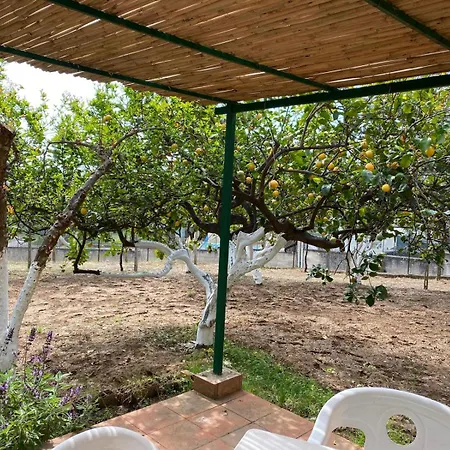 Le Rose Apartment